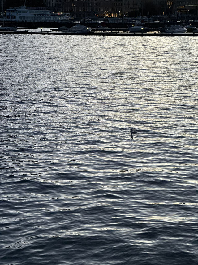 Alchemy On Water: When Sunbeams Become Volts Alchemy On Water: When Sunbeams Become Volts