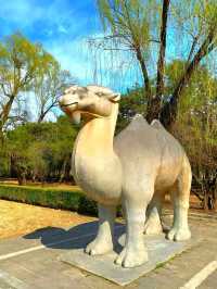 The Journey via the Sacred Way in Ming Tombs