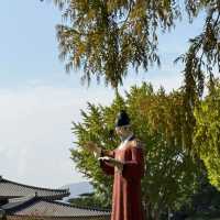 Wandering Through Yangdong’s Living Tapestry