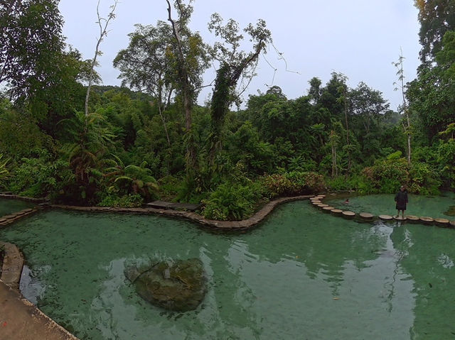 ป่าต้นน้ำบ้านน้ำราด ป่าต้นน้ำบ้านน้ำราด