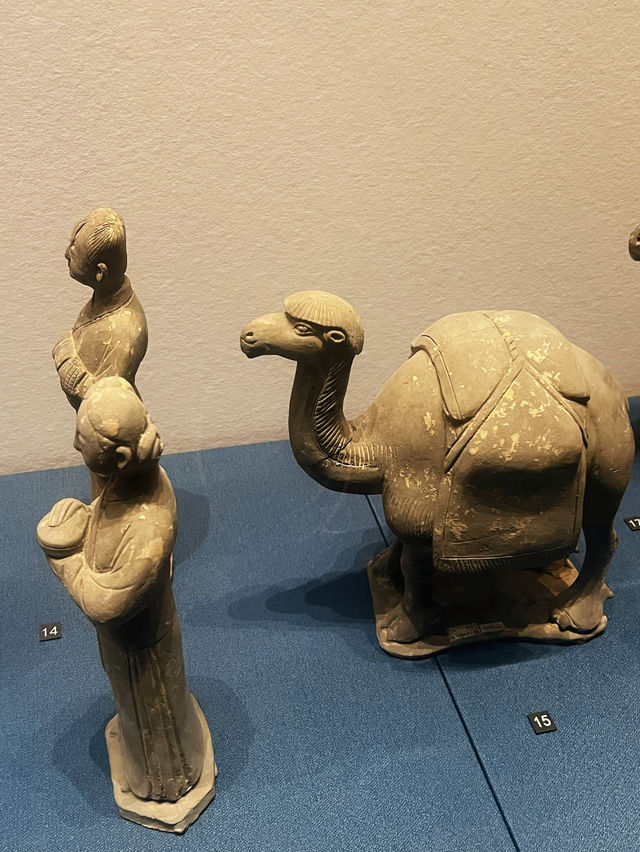 🏛 Xi’an Museum — A Glimpse Into the Ancient Capital’s Soul