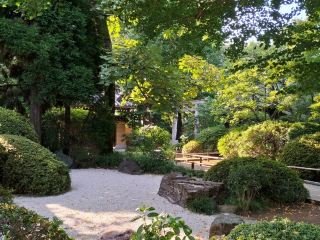 【Tokyo】The temple "Koenji" near Koenji Station