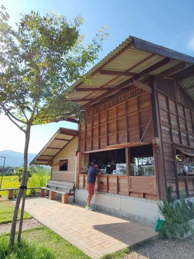 Chiang Mai ☕ Coffee Hopping – Café Gems in Nature