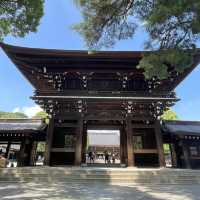 探索東京綠意：明治神宮一日遊 🌿⛩️ 