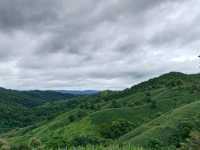 1343 ฉ่ำปอดที่สุด ถนนลอยฟ้า จ.แพร่