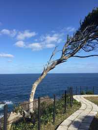 【石川・能登半島】🏞️〜未来に残したい日本がここにある〜
