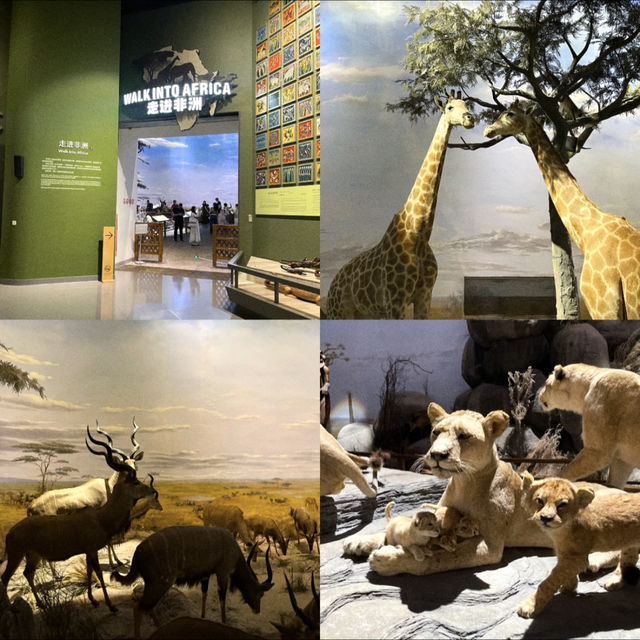 เยี่ยมชม Shanghai Natural History Museum 🦋