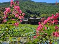 Seochulji Pond