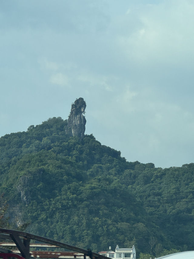 桂林陽朔必玩自然美景🌳  