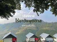 🌿ฤดูหนาวใกล้เข้ามาทีไร เชียงรายก็อยากไป