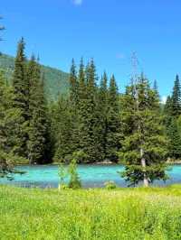 Altay: A Poem Written by Mountains