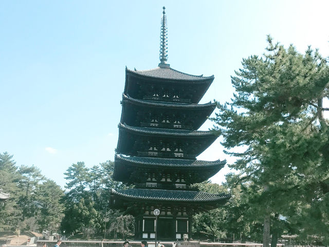 興福寺（こうふくじ）