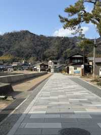 倒立觀美景，驚嘆人間仙境】天橋立必訪旅遊全攻略