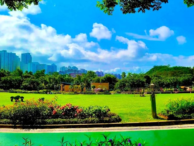 Green Escape in the City: Discovering Jordan Valley Park Green Escape in the City: Discovering Jordan Valley Park