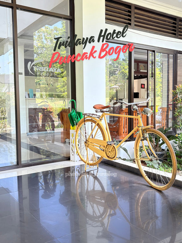 Rekomendasi Hotel Murah di Puncak!