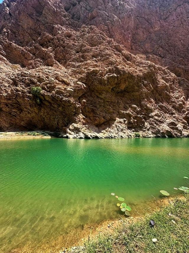 🌴 Muscat Escape: Luxury Stay & Qurum Delights ✨