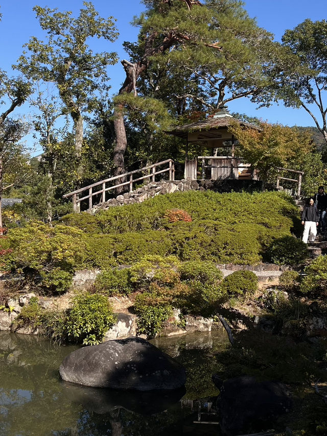 🦌 Day Trip to Nara – Gardens, Deer & Matcha 🍦