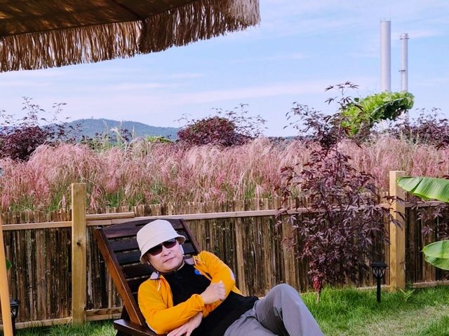 천만송이 천일홍 축제
