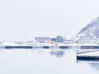 ❄️눈과 바다, 스시의 도시 ‘오타루’ 2박 3일 여행 일정