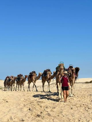 🐫 Port Stephens Camel Safari: Experience an exotic and magical journey on the sand dunes