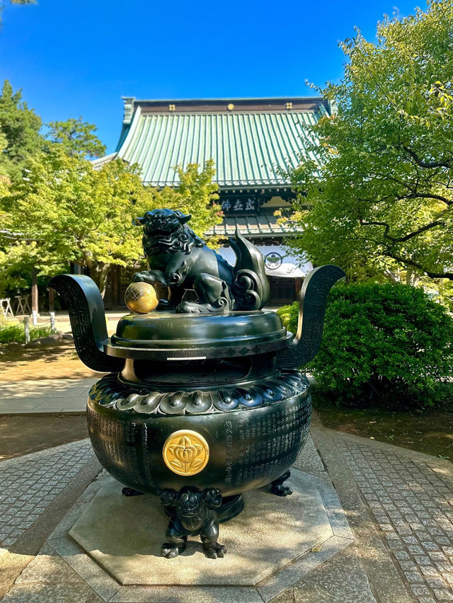 【世田谷】🐈幸運の招き猫だらけ✨