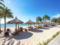 Discover Vietnam’s Most Breathtaking Beaches! 🌊