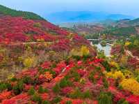 Valley Dreamscape🍂  