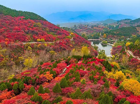 Valley Dreamscape🍂  