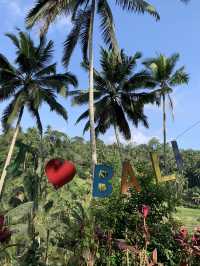 Ideal plan for Ubud 