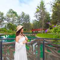   เปิดตัว สวนสาธารณะ The Park Khaoyai Flower Land 