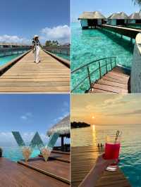 🏝️ Tropical Bliss at W Maldives – Overwater Villa Escape