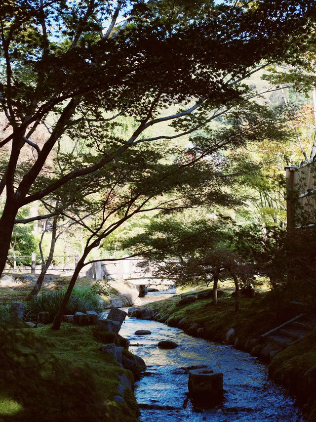 🏯 Kyoto's Secret: Eikando Temple - Where Autumn Bleeds Crimson & Beauty Becomes a Spiritual Quest!  🏯 Kyoto's Secret: Eikando Temple - Where Autumn Bleeds Crimson & Beauty Becomes a Spiritual Quest!