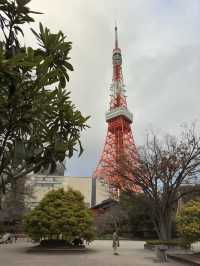 Tokyo Tower: the classic city trademark
