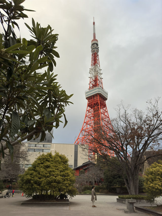 Tokyo Tower: the classic city trademark
