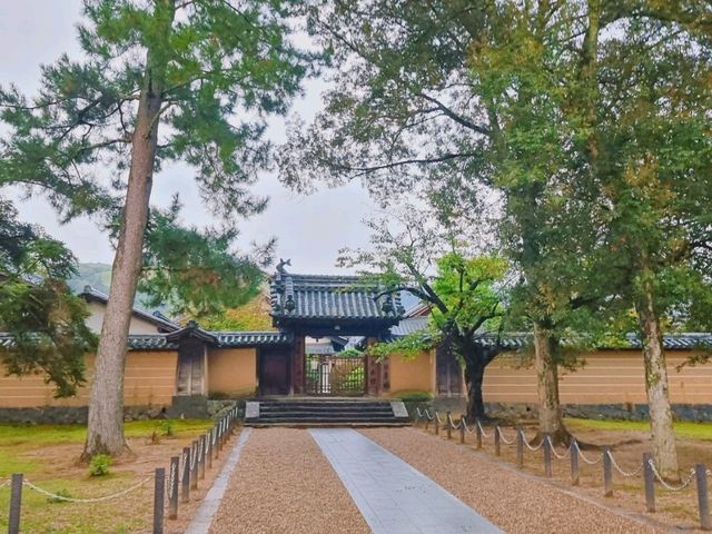 세계 최대 목조건축물을 만나다, 일본 나라 동대사