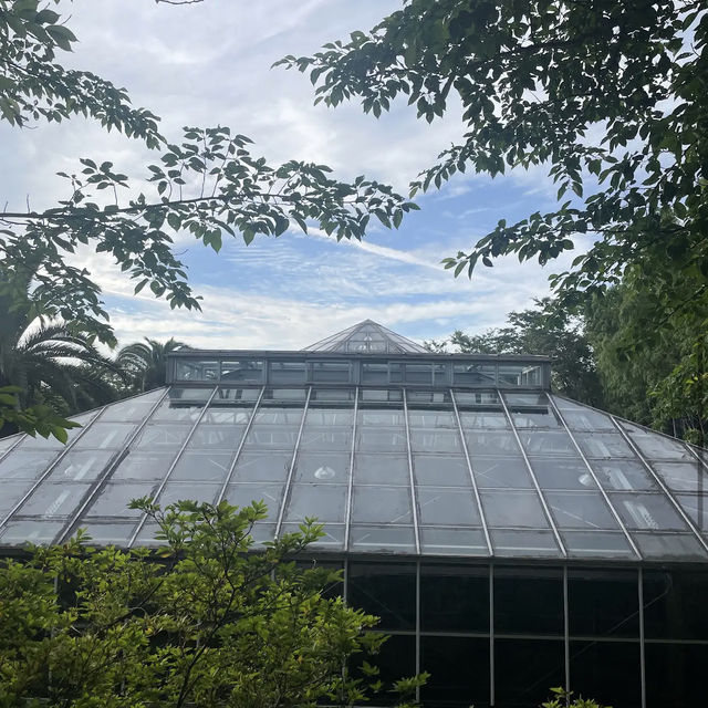 Halla Arboretum, Jeju Island,S.Korea