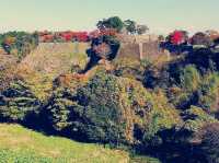 Where the Shogunate Began: My Solo Pilgrimage to Oka Castle