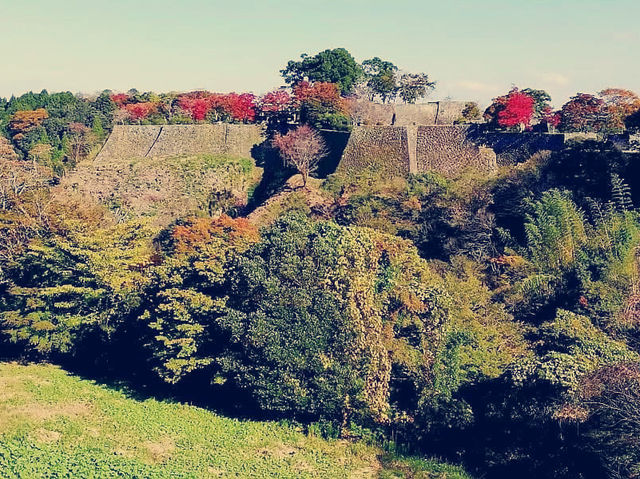 Where the Shogunate Began: My Solo Pilgrimage to Oka Castle