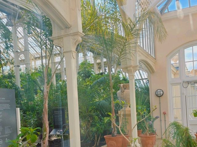 어여쁜 수련이 가득한🌺 영국 큐가든 워터릴리 하우스