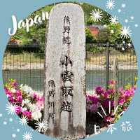 【和歌山】深い森に包まれる道、小雲取越🌳