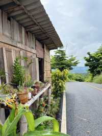 กะเพราหลักสิบ กับวิวหลักล้าน ที่กะเพราลอยฟ้า น่าน