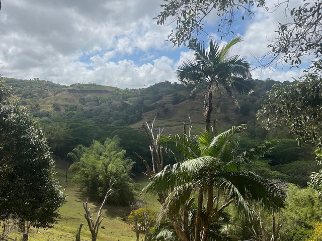 Bel Ombre Nature Reserve - Falls of Heaven in Mauritius 