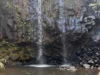 Bel Ombre Nature Reserve - Falls of Heaven in Mauritius 