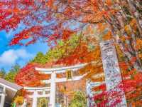 あの花の聖地🌼秩父で紅葉満喫