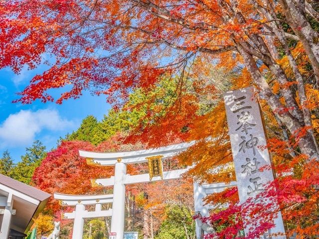 あの花の聖地🌼秩父で紅葉満喫