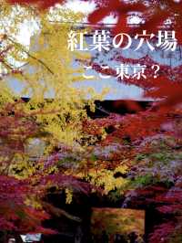 紅葉の穴場🍁 紅葉だらけの境内とイチョウの絨毯