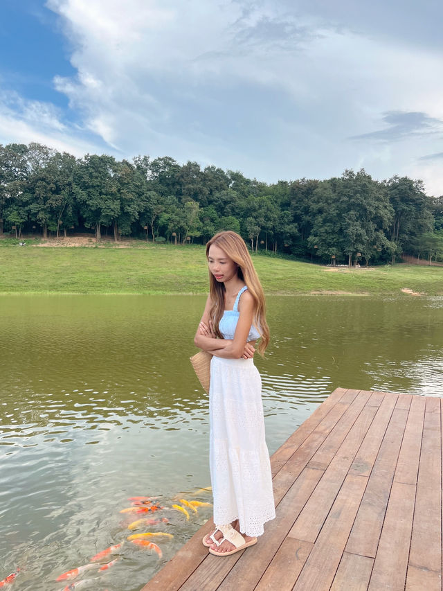 กาปี้ป่าร่า คาเฟ่ชลบุรี สุดฮีลใจ 🪿🌿 
