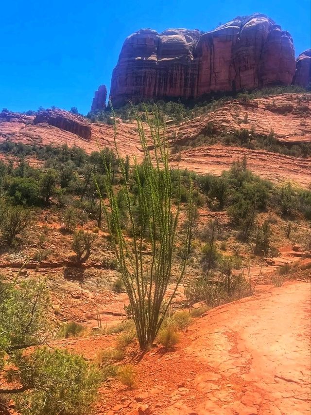 ⛰️✨ Cathedral Rock Trailhead – Sedona’s Iconic Red Rock Climb