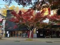🍁ฤดูใบไม้เปลี่ยนสีที่ Karuizawa-machi