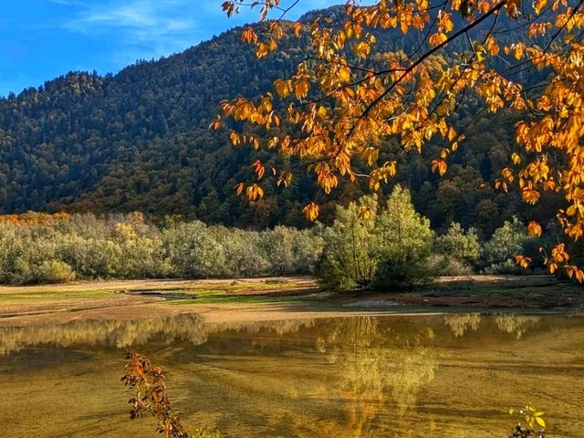 🌿🏔️ Biogradska Gora National Park – The Emerald Heart of Montenegro 🌿🏔️ Biogradska Gora National Park – The Emerald Heart of Montenegro